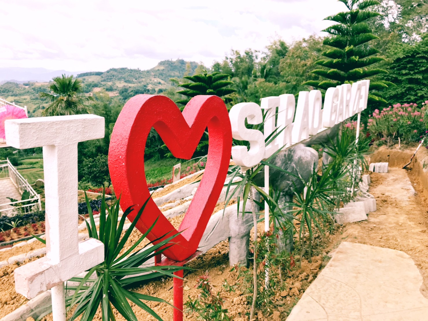 cc1009b87e3ffd9745d6241a7e5eecc6d_20864729_190627_0002