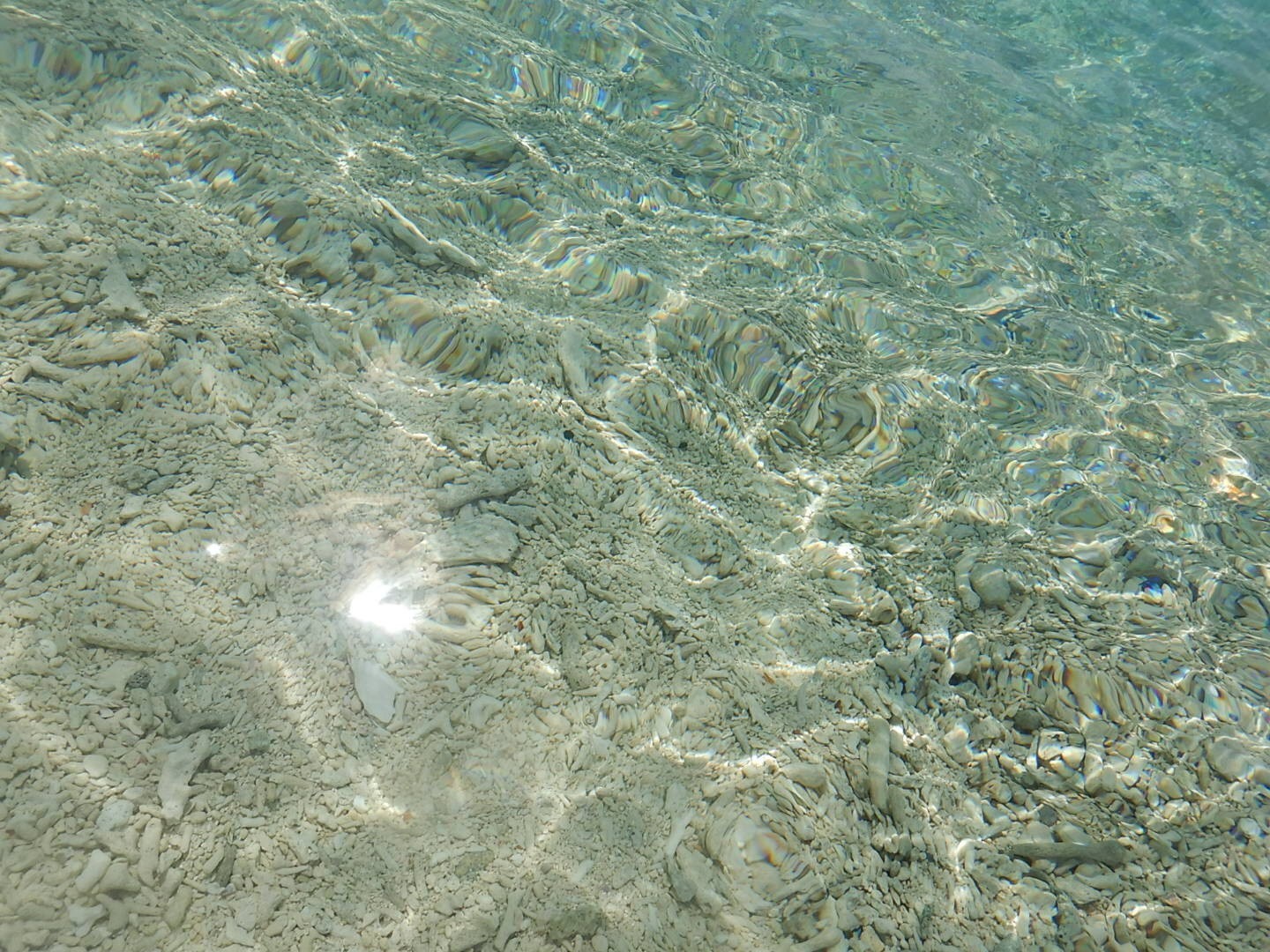 cc1009b87e3ffd9745d6241a7e5eecc6d_21178502_190624_0002