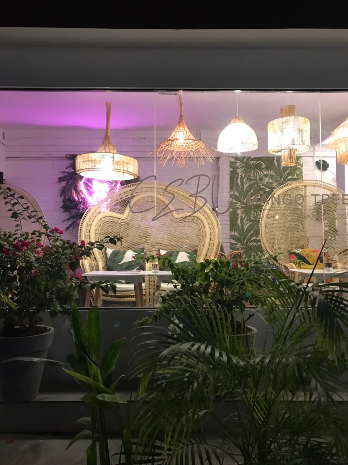 cc1009b87e3ffd9745d6241a7e5eecc6d_21178691_190624_0002