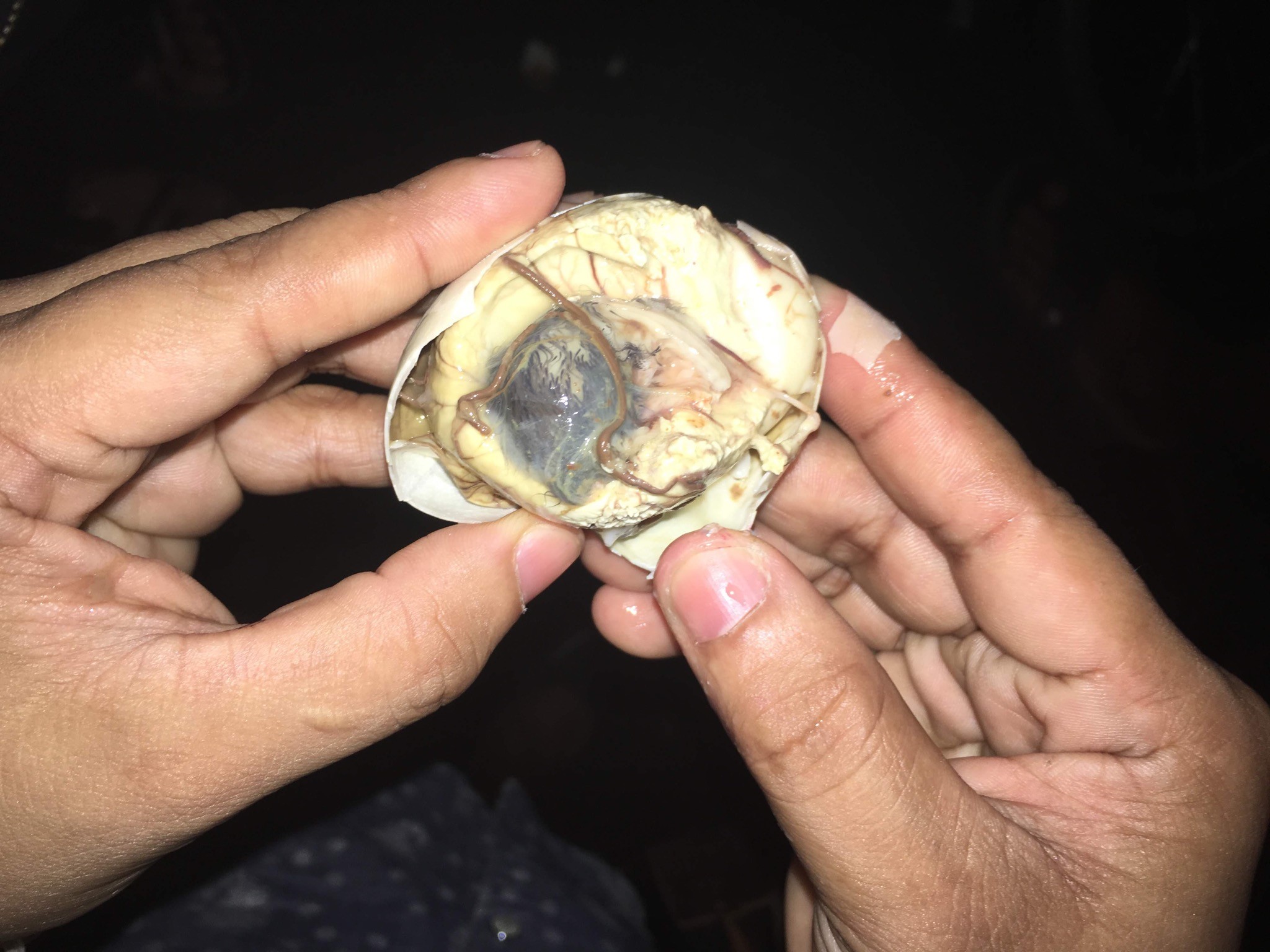 E38230E5-F197-4EEA-BE7F-8FE45545BA14