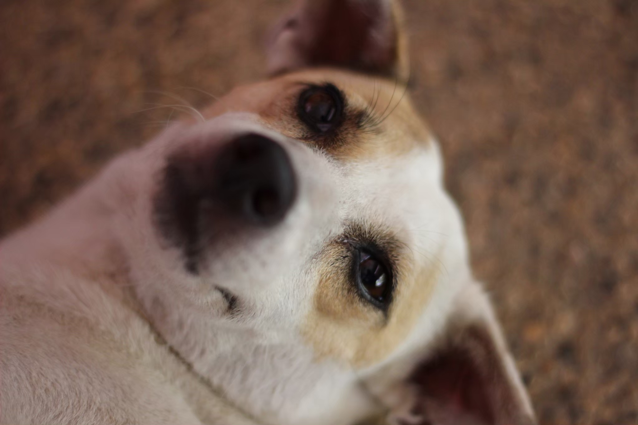 line_1075618654157807