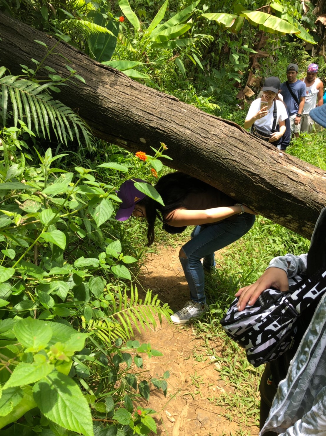 19BA5DD5-55DD-4B81-B69B-DD339742894C