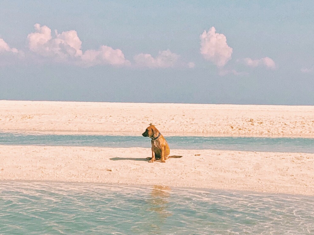 Processed with VSCO with c1 preset