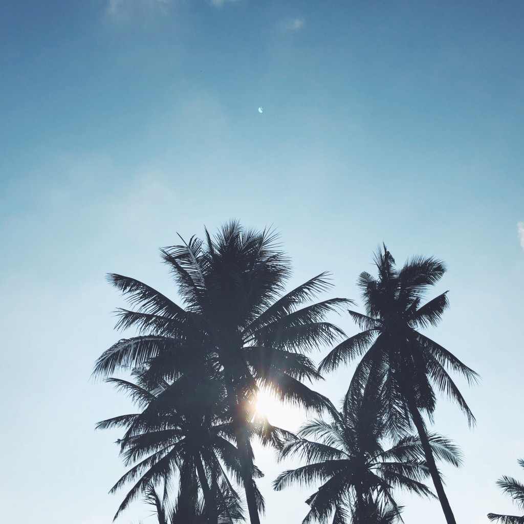 Processed with VSCO with f2 preset