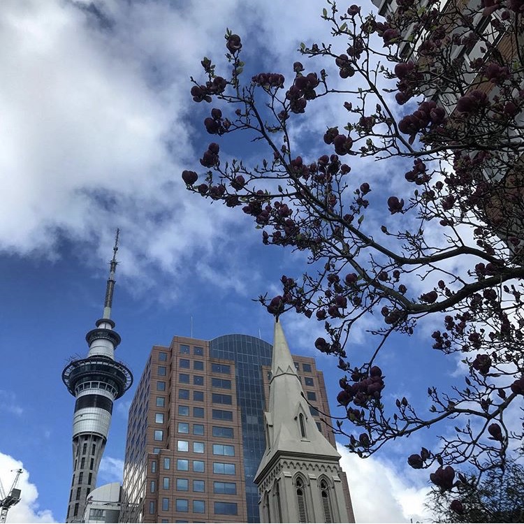 3D6ADD03-A9CF-49ED-BBDC-FD7ECE0390AD