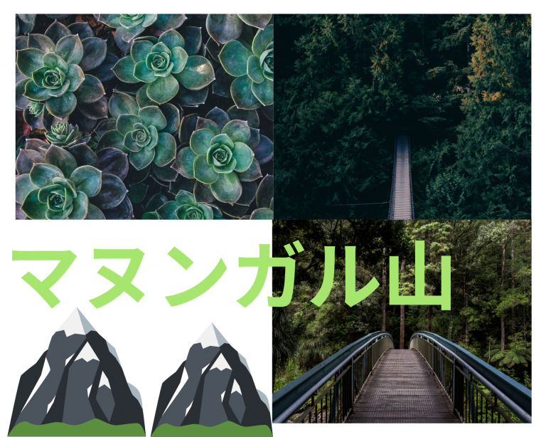 セブ島の秘境！？アクティビティも満載のマヌンガル山に行ってみた