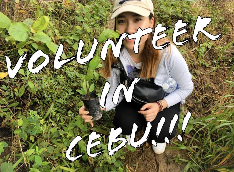 セブで環境保全活動を体験できる？植樹イベントに参加してみました♪