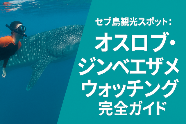 セブ島観光スポット: オスロブ・ジンベエザメウォッチング完全ガイド