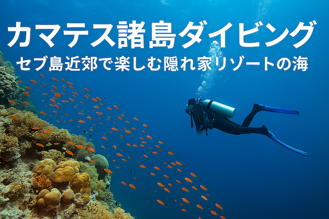 カマテス諸島ダイビング|セブ島近郊で楽しむ隠れ家リゾートの海