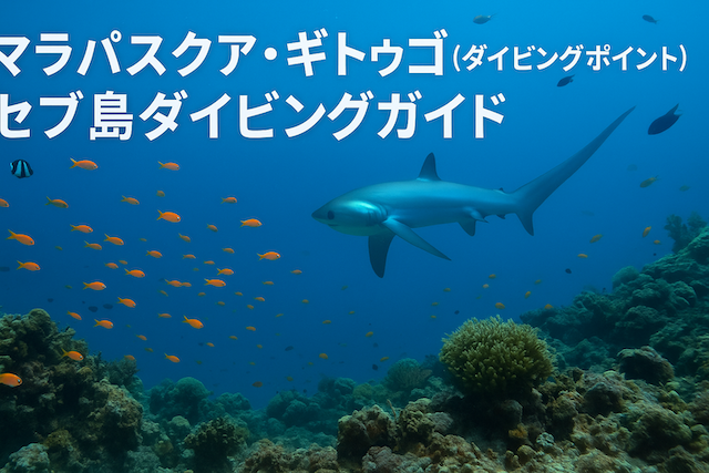 マラパスクア・ギトゥゴ(ダイビングポイント)|セブ島ダイビングガイド